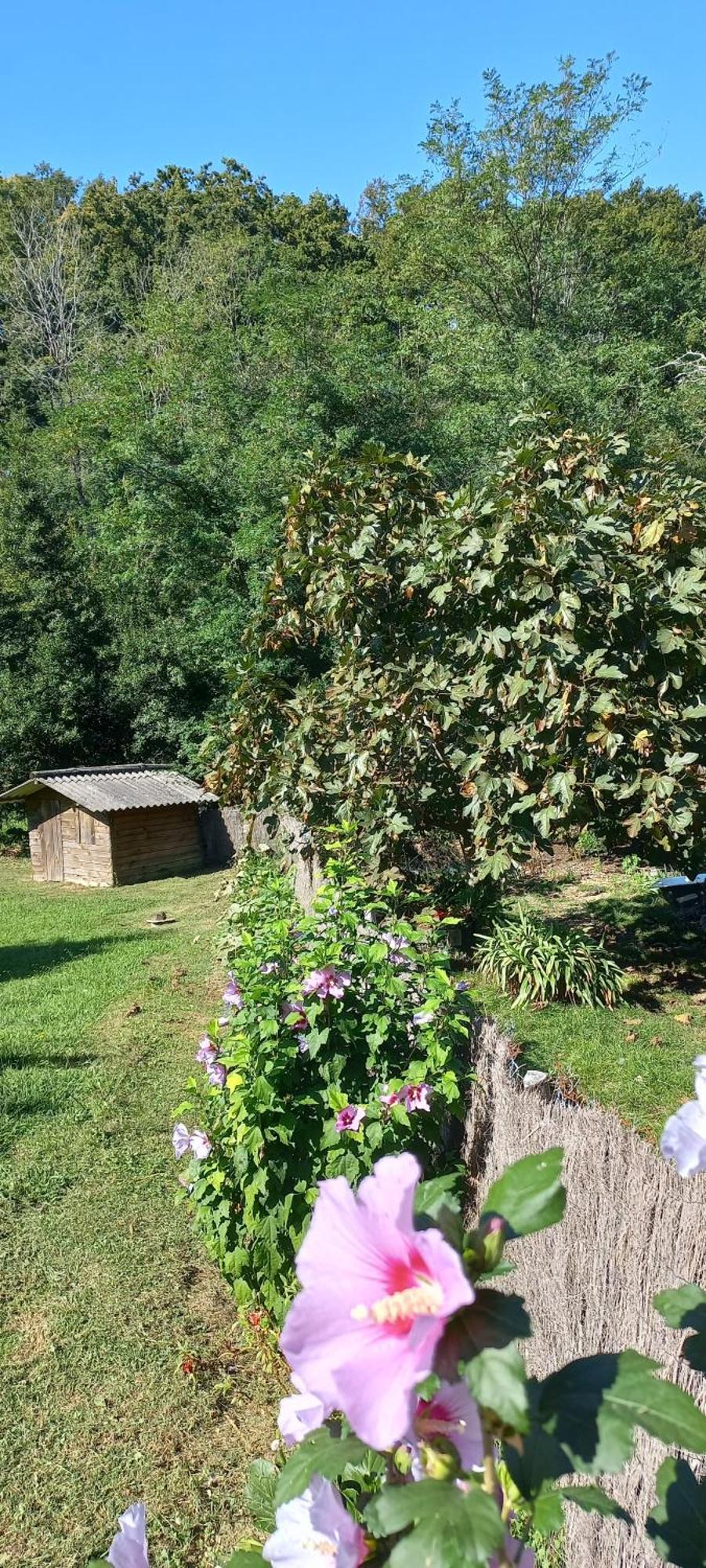 La Casa Bed&Breakfast Entree Independante 26M2 Calme Proche De Tout Wifi Parking Prive Jardin Terrasse Urrugne Exteriör bild