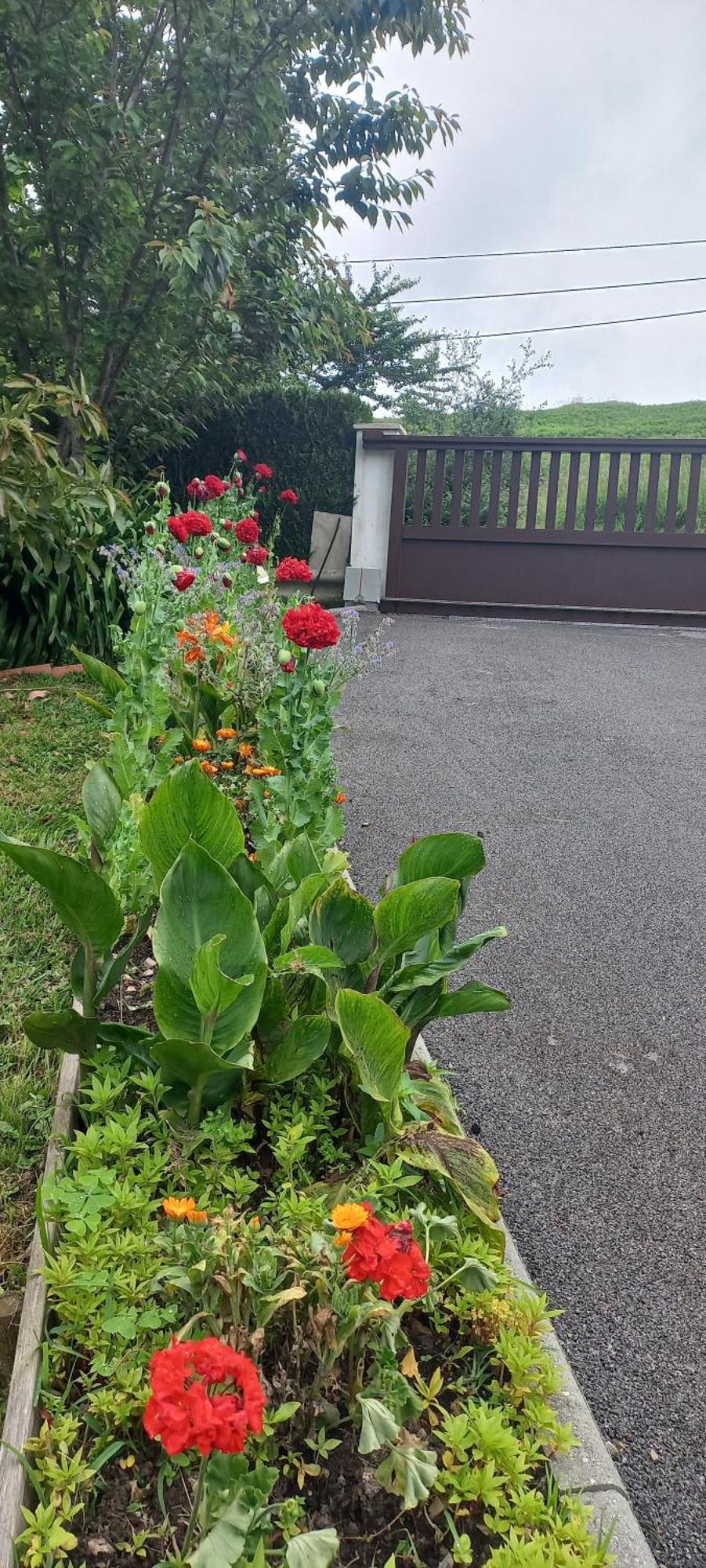 La Casa Bed&Breakfast Entree Independante 26M2 Calme Proche De Tout Wifi Parking Prive Jardin Terrasse Urrugne Exteriör bild